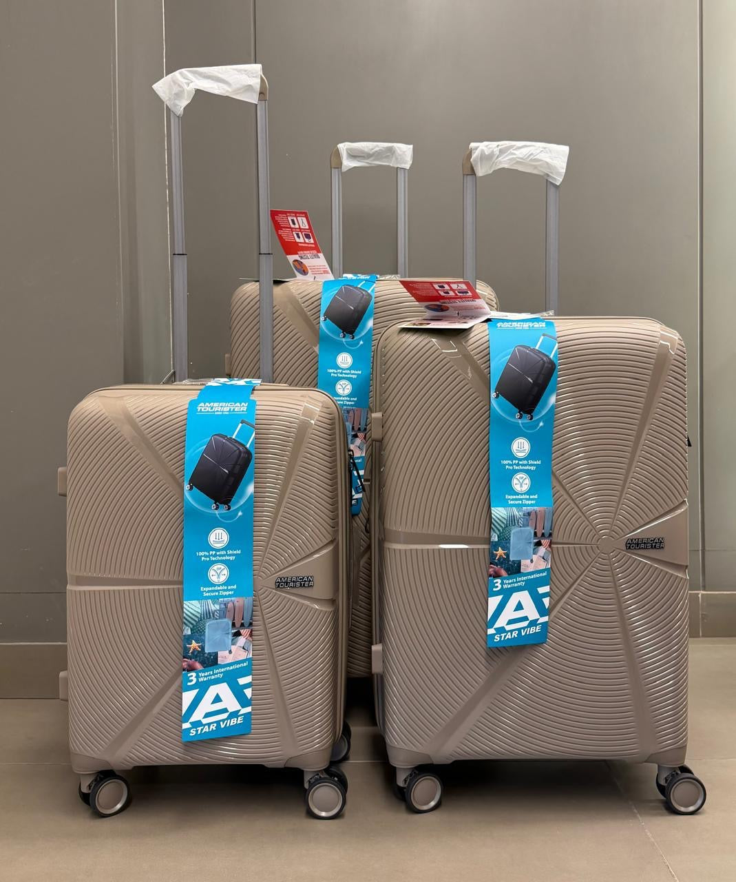 American Tourister - Starvibe